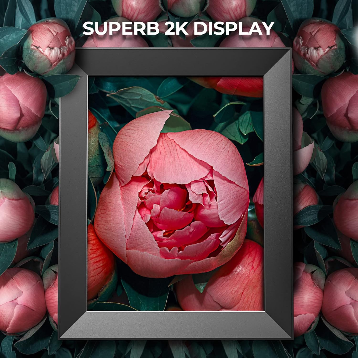 Modern 10 Digital Picture Frame Dragon Touch